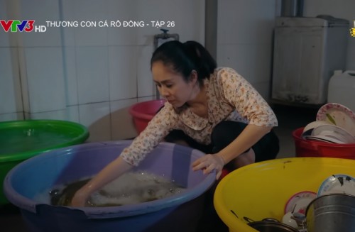 Thương con cá rô đồng: Sau bao bi kịch, chị em Thương tìm được yên bình nơi đất khách