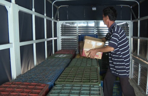 Chuyến Xe Nhân Ái: Vượt qua nỗi đau mất vợ, người đàn ông một mình bươn chải nuôi con gái nên người