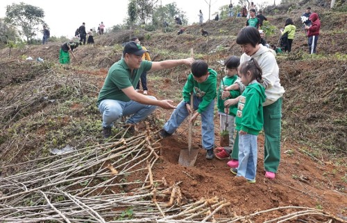 TreeBank tổ chức “Ngày Trồng cây” năm 2025