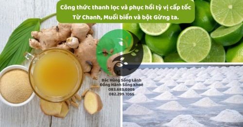 Công thức thanh lọc và phục hồi tỳ vị cấp tốc từ Chanh, Muối biển và bột Gừng ta.