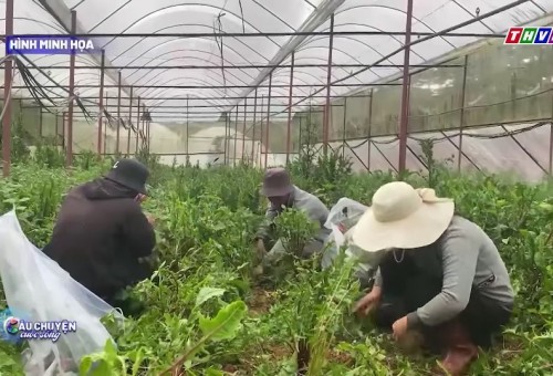 Câu Chuyện Cuộc Sống: Tầm quan trọng của việc kết nối với thiên nhiên