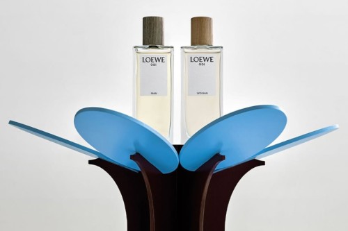 LOEWE 001: Hành trình đánh thức bình minh cảm xúc
