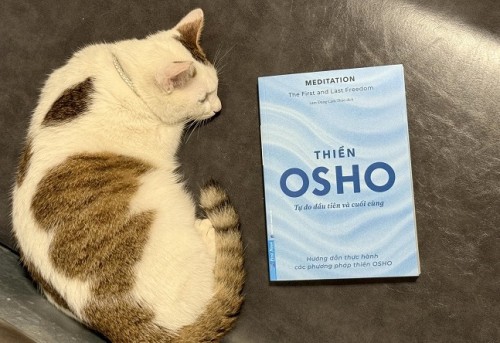 ‘Thiền - Tự do đầu tiên và cuối cùng’ -  Cẩm nang thiền trong đời sống hiện đại