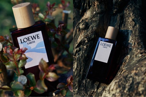 LOEWE Earth & Khúc Mạnh Quân: Mùi hương của chiều sâu đương đại