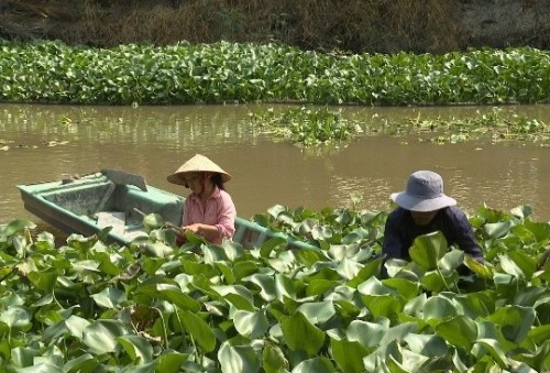 Chuyến xe nhân ái: Vợ chồng nghèo sống tạm bợ bên mé sông, con 7 tuổi dị tật bẩm sinh không có điều kiện mổ